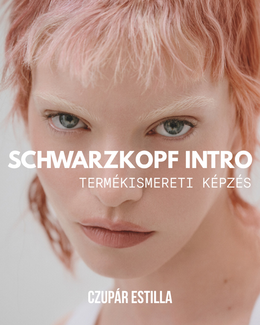 Schwarzkopf Professional Intro: Termékismeret (elmélet) 2026/10/08
